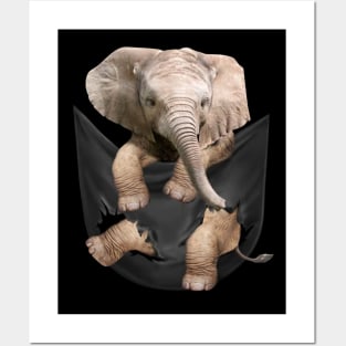 Elephant In Pocket Posters and Art